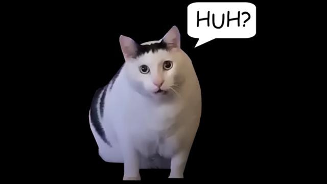 huh